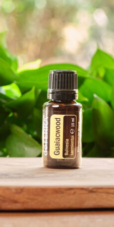 Olio dōTERRA - Legno di Guaiaco